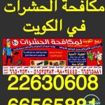 مكافحة الحشرات الكويت