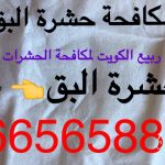 مكافحة وابادة البق 66565881