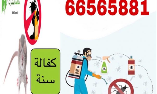 مكافحة حشرات و قوارض الكويت