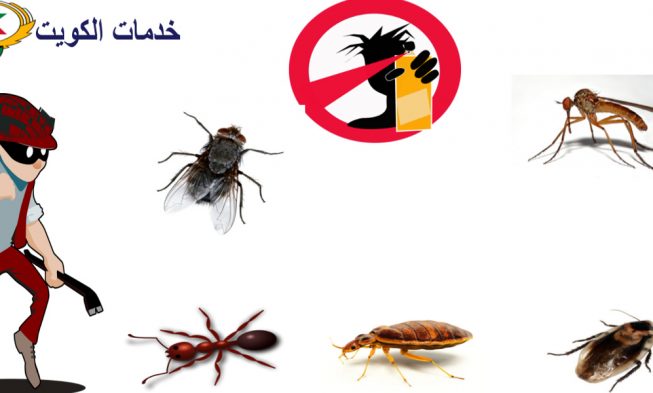 افضل شركة مكافحة حشرات منزلية 66565881