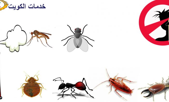 افضل شركة رش مبيدات
