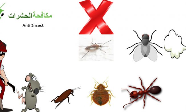 مكافحة حشرات الحساوي