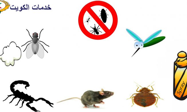 مكافحة حشرات الرقة 66565881