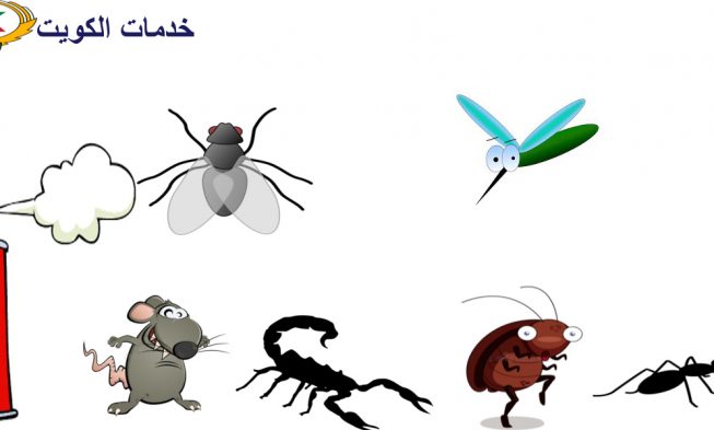 مكافحة حشرات الزهراء 66565881