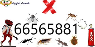 مكافحة حشرات في جابر الأحمد
