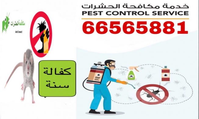 مكافحة حشرات قرطبة